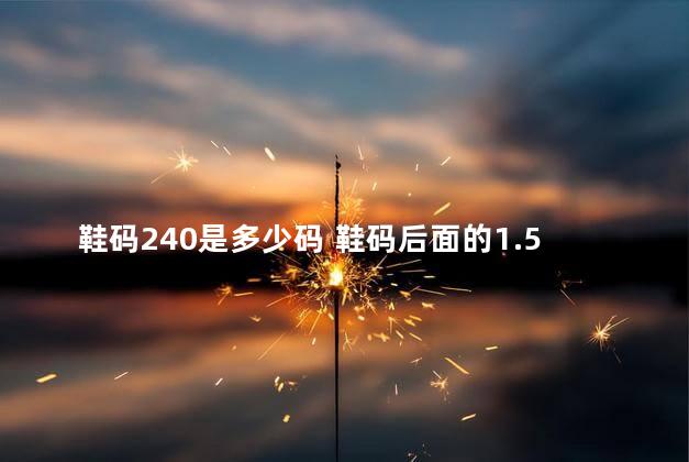 鞋码240是多少码 鞋码后面的1.5代表什么